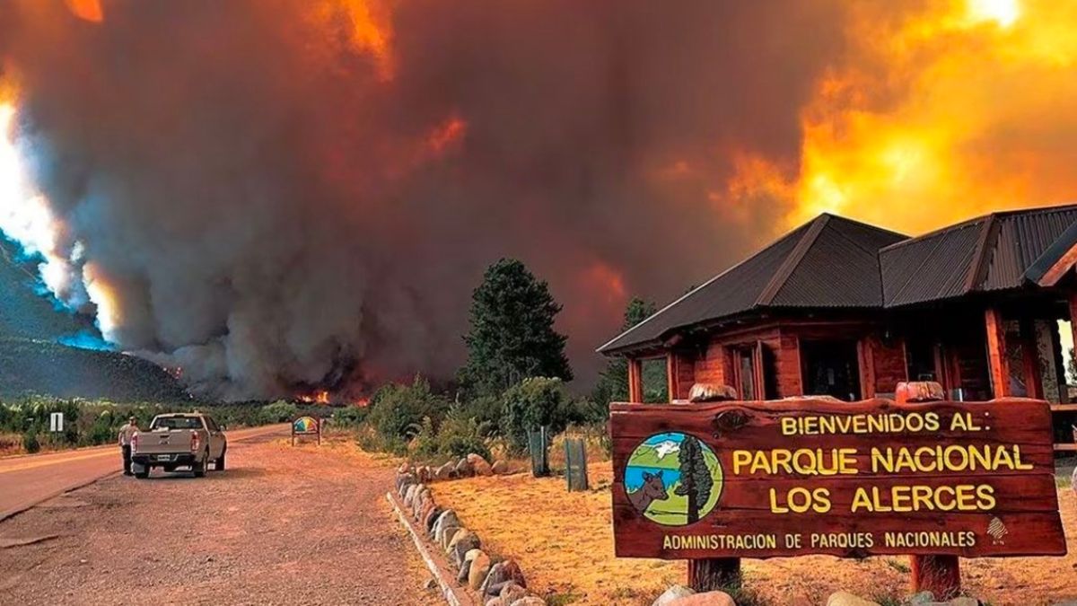 El Incendio En El Parque Nacional Los Alerces Ya Afecta M S De