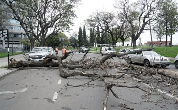 El temporal de viento dejó voladuras de techos y decenas de árboles y