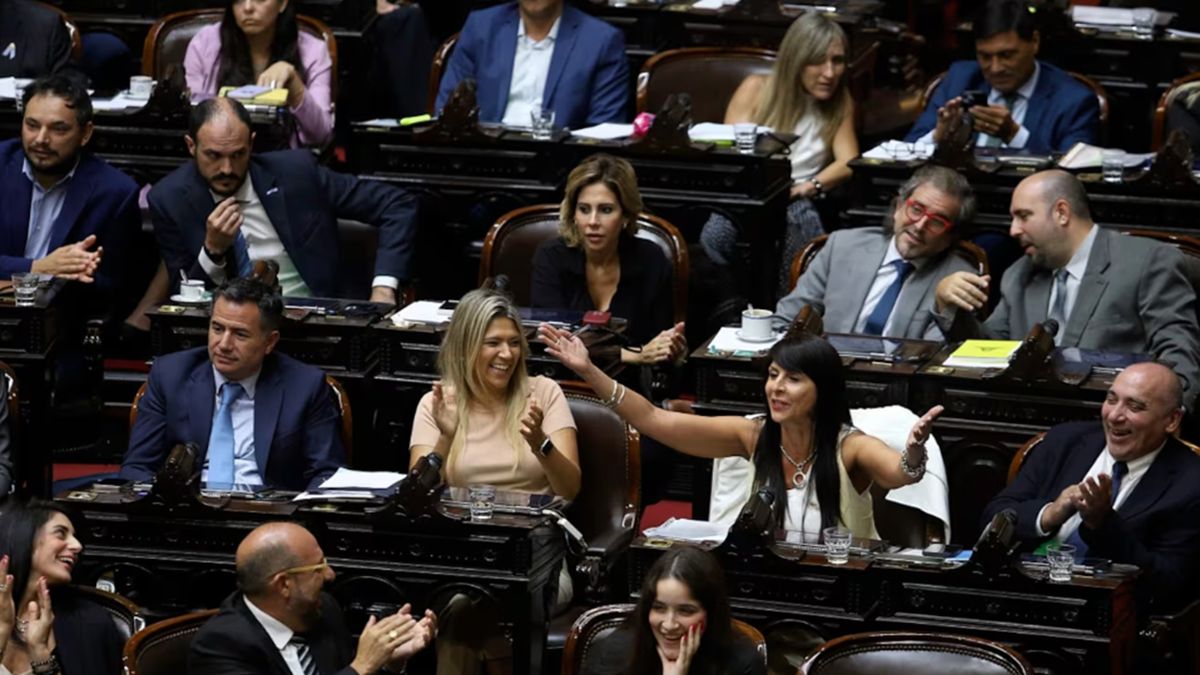 Entre Cruces Y Chicanas Diputados Dio Media Sanci N Al Proyecto De