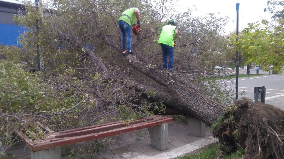 Alerta Por Vientos Fuertes En Buenos Aires Y Otras Ocho Provincias