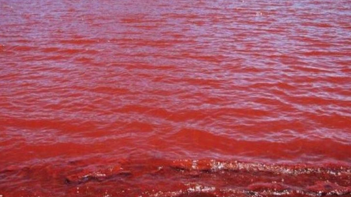 Egipto el río Nilo se tiñó de rojo