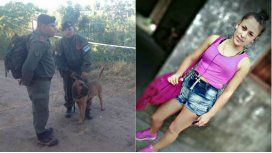 Los perros encontraron una bolsa con ropa Los perros encontraron una bolsa con ropa