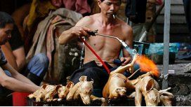 Se consume carne de perro durante el Festival de Yulin, en China Se consume carne de perro durante el Festival de Yulin, en China