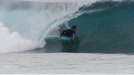 El surfista fue atacado en la arteria femoral y murió desangrado El surfista fue atacado en la arteria femoral y murió desangrado