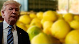 Extienden la suspensión a los limones argentinos por 30 días Extienden la suspensión a los limones argentinos por 30 días
