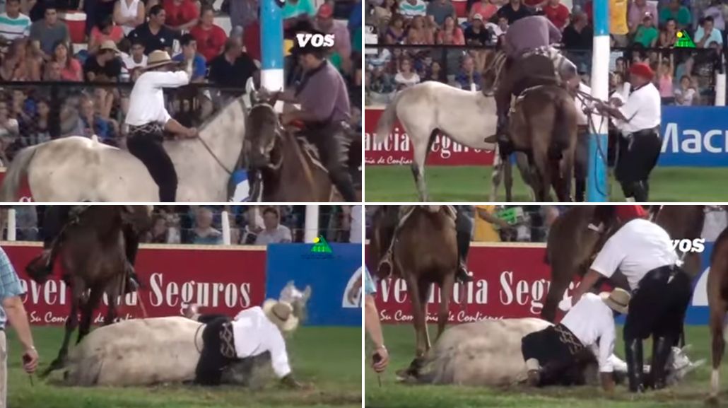 QUÉ HORROR| Un caballo se murió en el festival de Jesús María