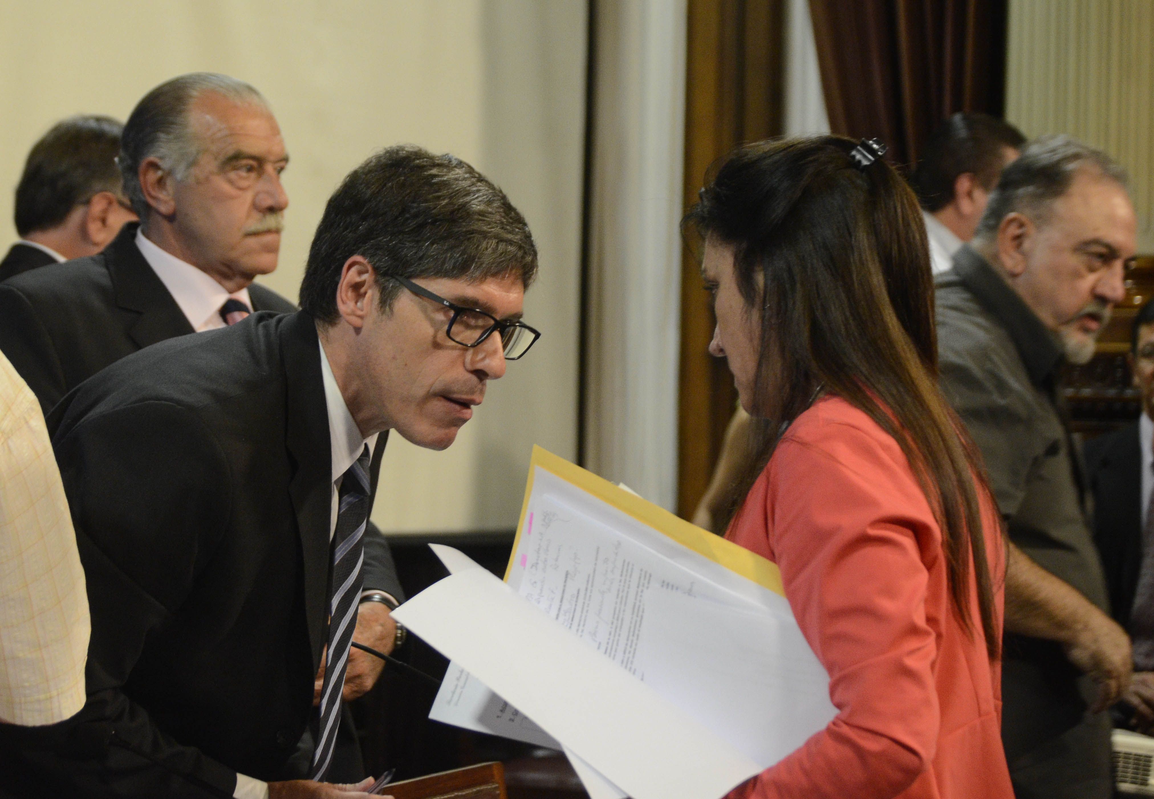 Abal Medina en el Senado<br>