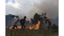 El intendente de Pinamar habló de vecinos que se metieron a ayudar en el incendio El intendente de Pinamar habló de vecinos que se metieron a ayudar en el incendio