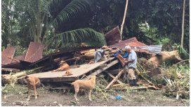 Anciano se negó a dejar sus perros por el huracán Otto Anciano se negó a dejar sus perros por el huracán Otto