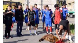 Los irakíes perdieron sus tres partidos y no levantan cabeza Los irakíes perdieron sus tres partidos y no levantan cabeza