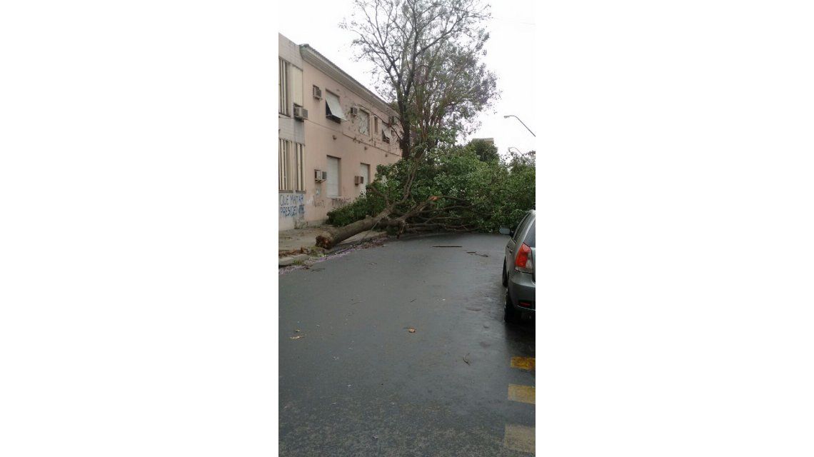 Violento tornado en Catamarca causó la muerte de un adolescente y graves destrozos Violento tornado en Catamarca causó la muerte de un adolescente y graves destrozos