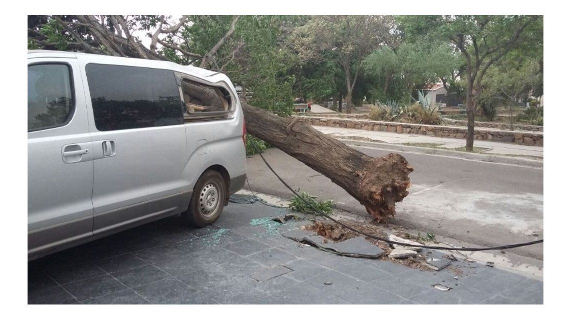 Violento tornado en Catamarca causó la muerte de un adolescente y graves destrozos Violento tornado en Catamarca causó la muerte de un adolescente y graves destrozos
