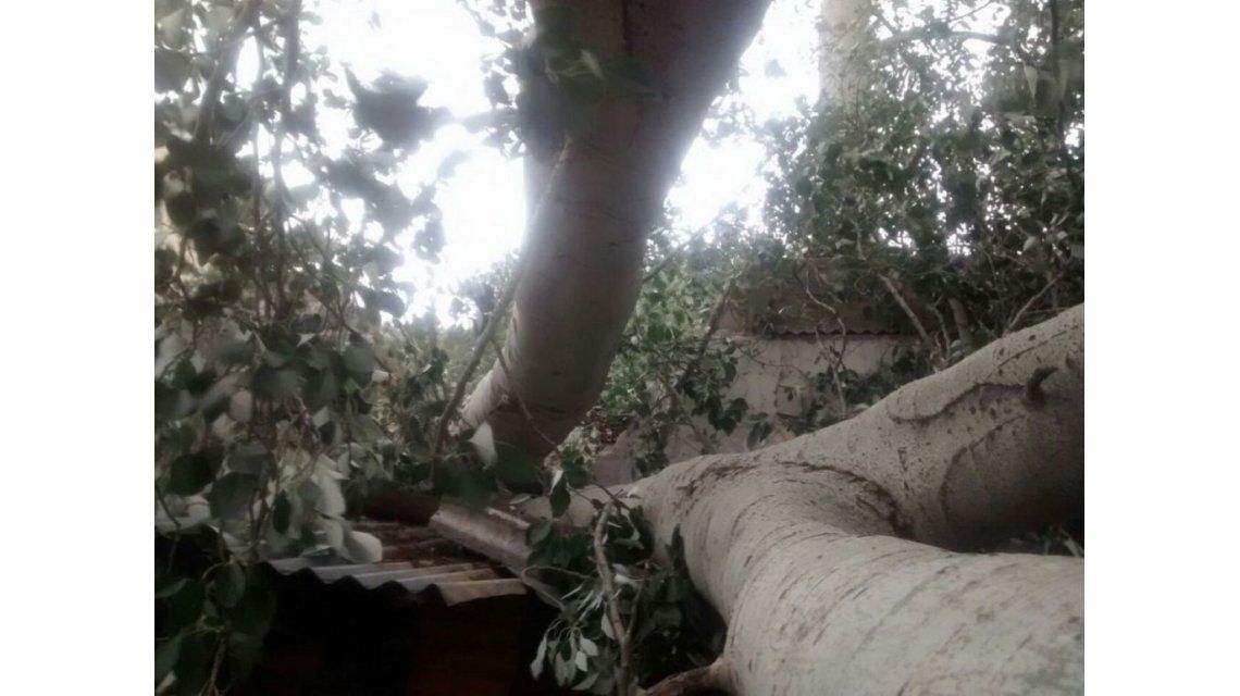 Violento tornado en Catamarca causó la muerte de un adolescente y graves destrozos Violento tornado en Catamarca causó la muerte de un adolescente y graves destrozos