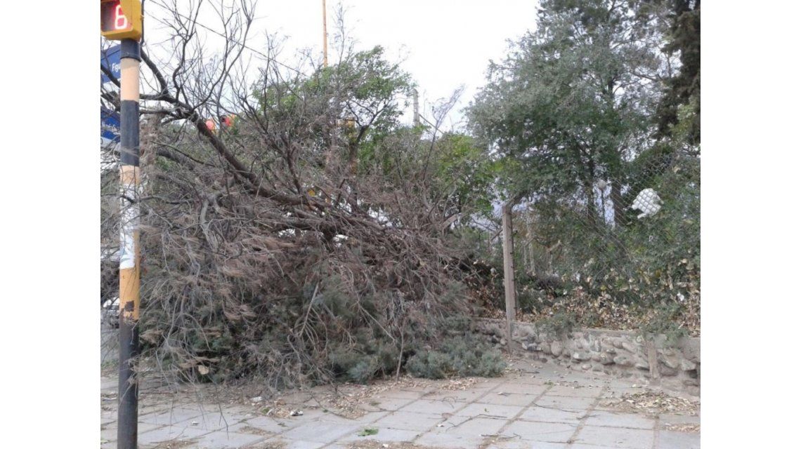 Violento tornado en Catamarca causó la muerte de un adolescente y graves destrozos Violento tornado en Catamarca causó la muerte de un adolescente y graves destrozos