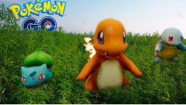 Un chico jugaba al Pokémon Go y descubrió una plantación de cannabis Un chico jugaba al Pokémon Go y descubrió una plantación de cannabis