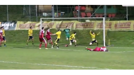 ¿Cómo no fue gol? Mirá la inexplicable jugada en el fútbol austríaco ¿Cómo no fue gol? Mirá la inexplicable jugada en el fútbol austríaco