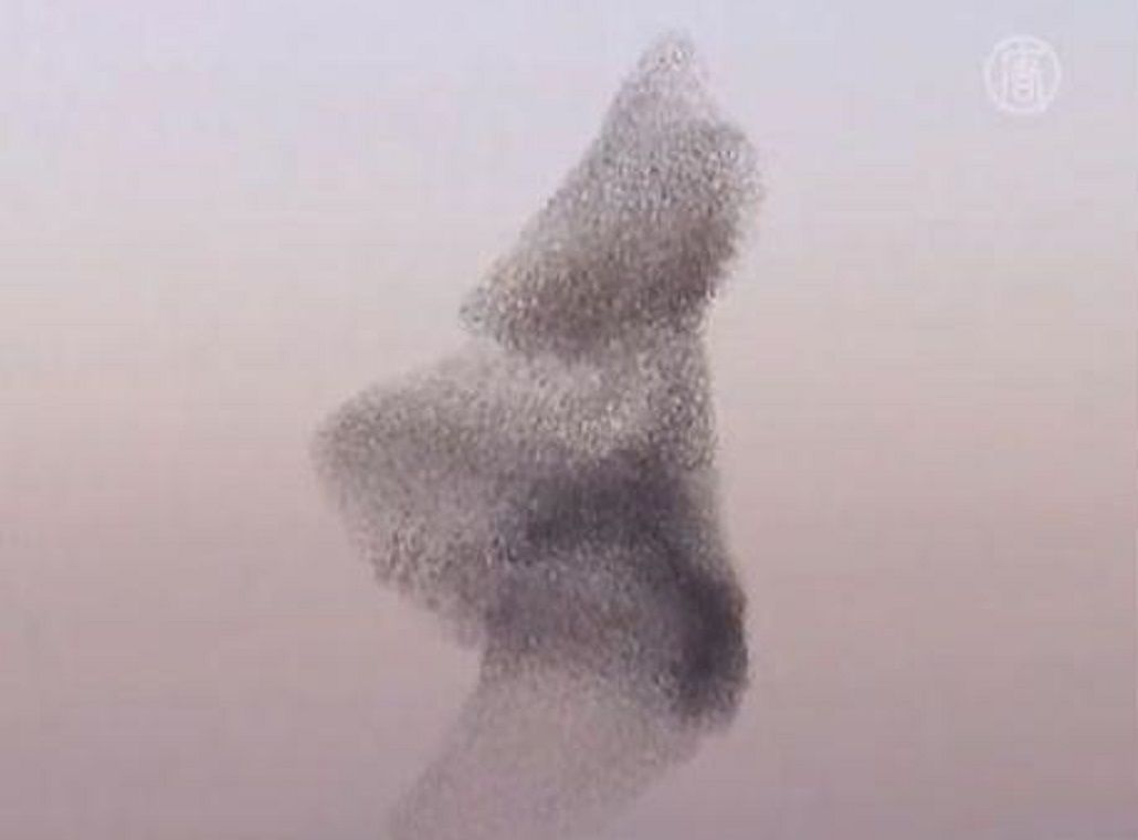 La curiosa nube negra que sorprendió a todos en Israel Israel