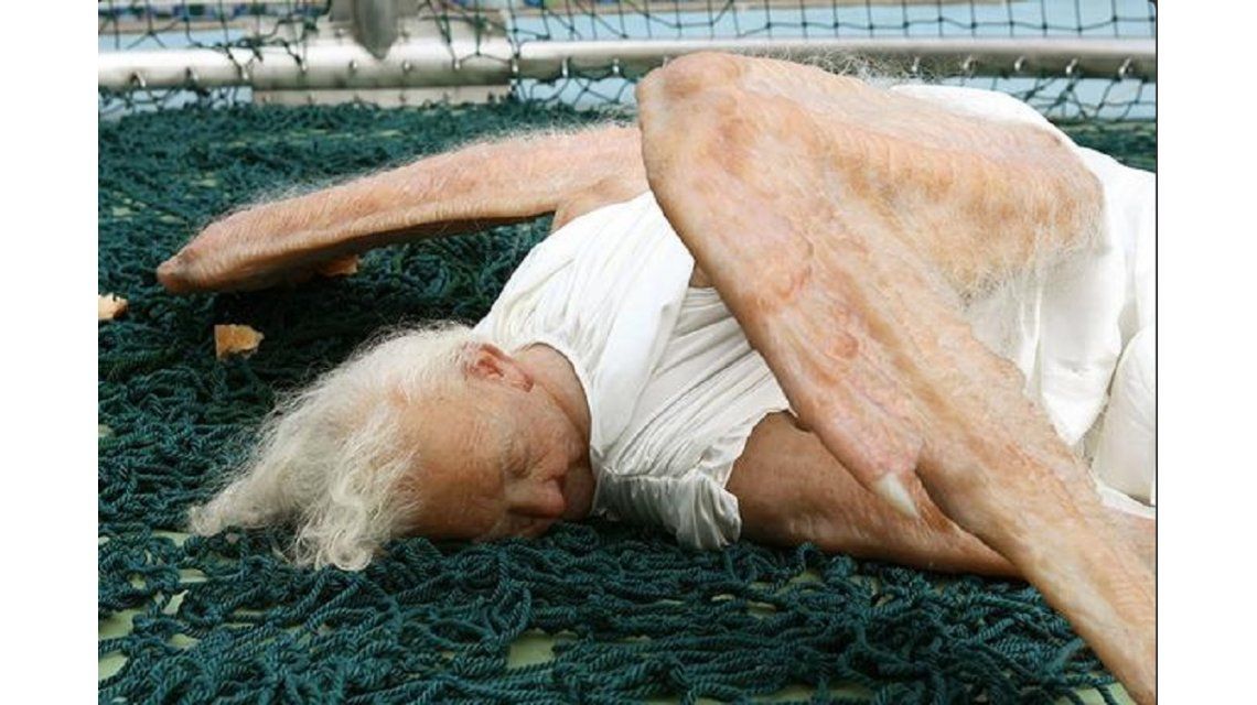 Impactantes Imagenes Angel Caido | mir 225 las impactantes im 225 genes de un 225 ngel ca 237 do en pek 237 n Impactantes Imagenes Angel Caido | mir 225 las impactantes im 225 genes de un 225 ngel ca 237 do en pek 237 n