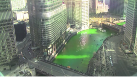 Pintan de verde el río de Chicago Pintan de verde el río de Chicago