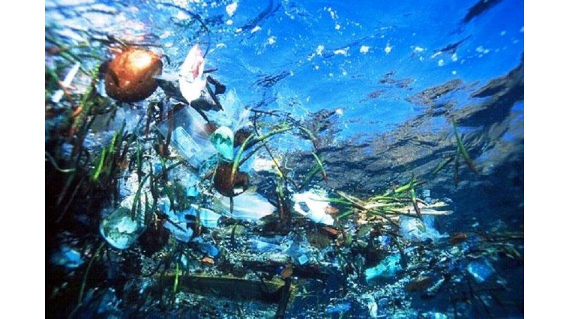 Resultado de imagen para el plastico en el mar