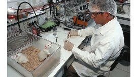 Científicos realizarán una lavada de platos simbólica contra Macri Científicos realizarán una lavada de platos simbólica contra Macri