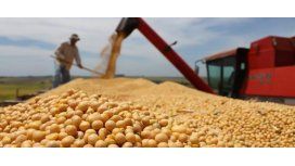 Cerealeras liquidaron apenas la mitad de lo prometido al Gobierno Cerealeras liquidaron apenas la mitad de lo prometido al Gobierno
