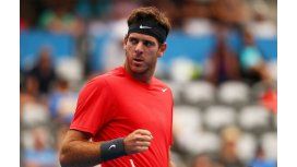 Del Potro venció al esloveno Lacko en Washington Del Potro venció al esloveno Lacko en Washington