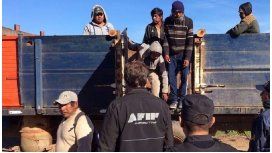 AFIP encontró 94 trabajadores reducidos a servidumbre en Salta – Crédito: eltribuno.info AFIP encontró 94 trabajadores reducidos a servidumbre en Salta – Crédito: eltribuno.info