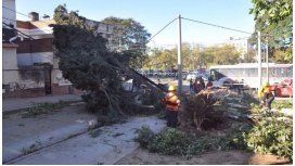 Tres muertos en Jujuy por un temporal Tres muertos en Jujuy por un temporal