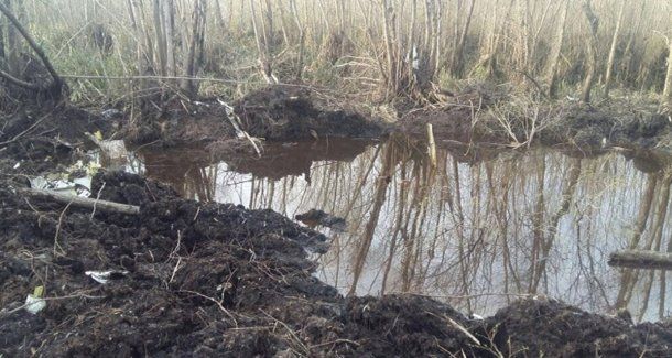 El pantano del río Paraná donde fueron hallados los restos del avión.