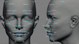 Polémica por una app que determina la orientación sexual de las personas Polémica por una app que determina la orientación sexual de las personas