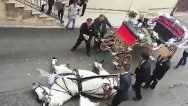 Un caballo muere mientras tiraba un carruaje por el calor Un caballo muere mientras tiraba un carruaje por el calor