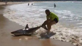 Un hombre agarró de la cola a un tiburón y lo volvió a meter al agua Un hombre agarró de la cola a un tiburón y lo volvió a meter al agua