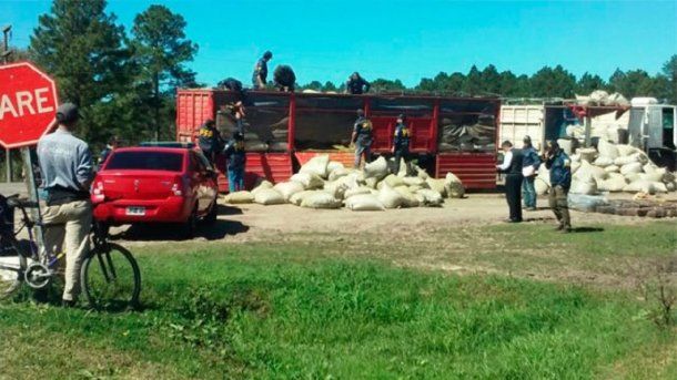 Incautaron 10 toneladas de marihuana - Crédito: www.elonce.com