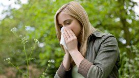 ¡Llega la Primavera! Cinco consejos para evitar las alergias ¡Llega la Primavera! Cinco consejos para evitar las alergias