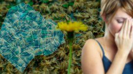 Llega la Primavera: ¿cómo evitar las zonas más peligrosas para las alergias? Llega la Primavera: ¿cómo evitar las zonas más peligrosas para las alergias?
