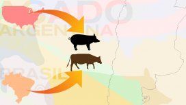 El Gobierno ahora autorizó la importación de carne vacuna desde Brasil El Gobierno ahora autorizó la importación de carne vacuna desde Brasil