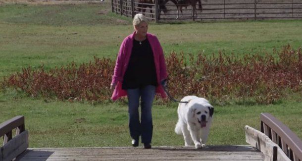 Mochi se quedó con el record Guinness