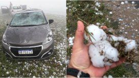 Algunos de los autos que sufrieron fuertes daños Algunos de los autos que sufrieron fuertes daños