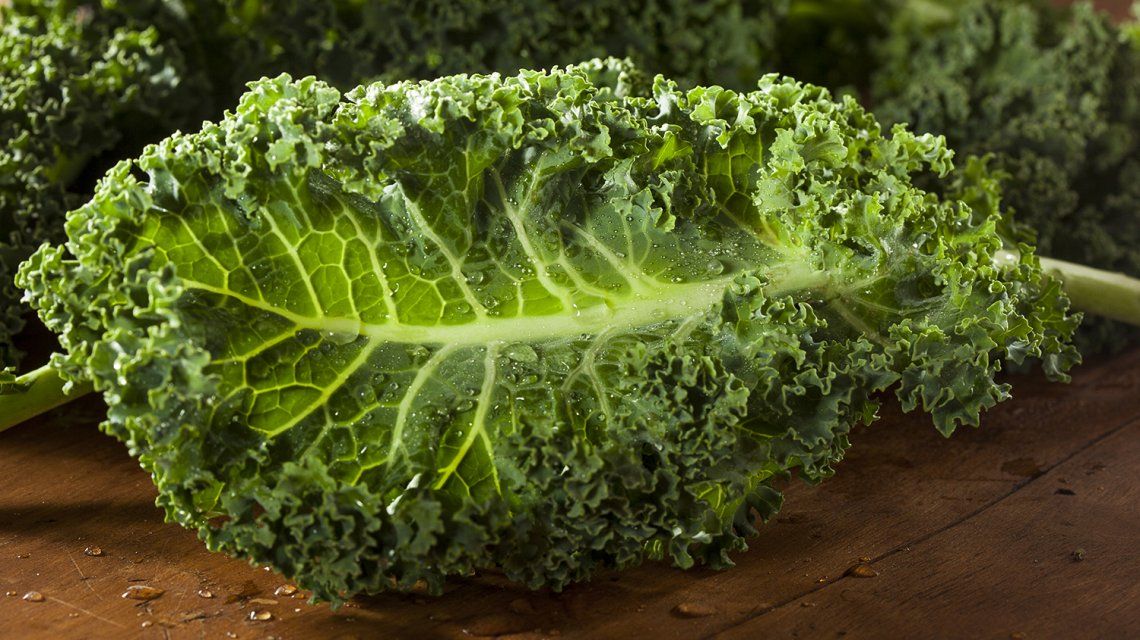 Adiós a la rúcula Kale, la nueva hoja de moda en las ensaladas