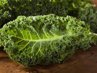 Kale, conocé la hortaliza de moda que le está robando el lugar a la rúcula Kale, conocé la hortaliza de moda que le está robando el lugar a la rúcula