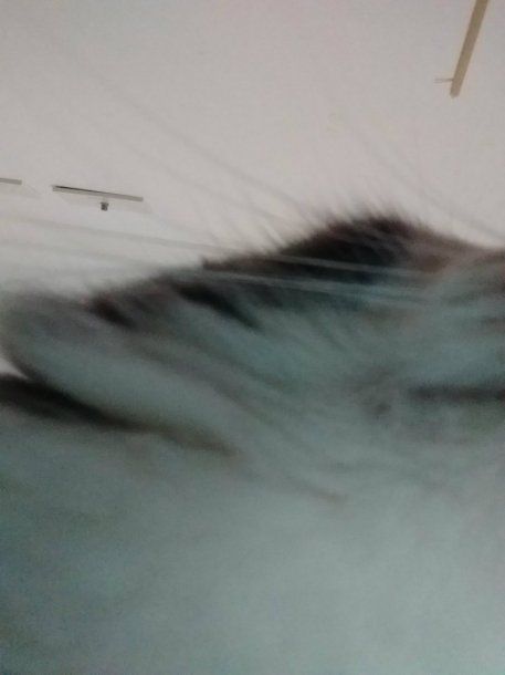 Va de nuevo, salió movida