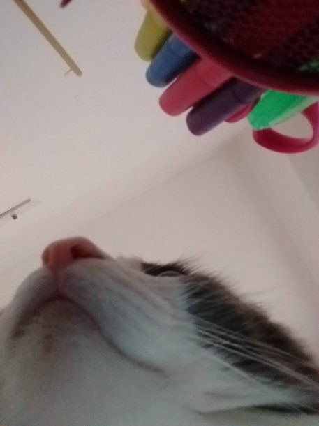 Sinatra en todo su esplendor