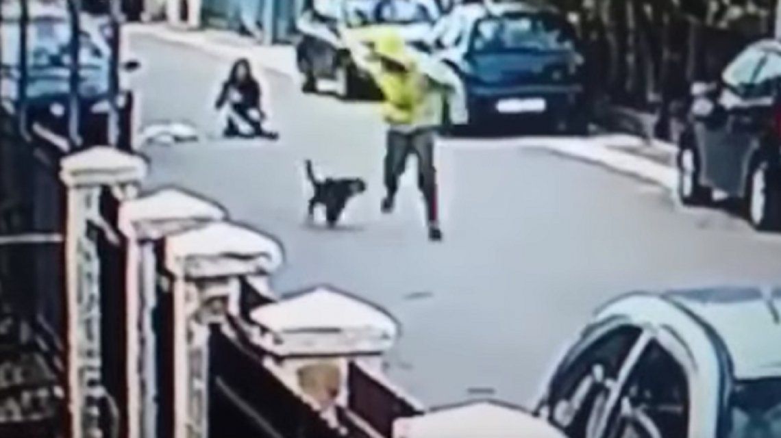 VIDEO: Un perro evitó un robo de una manera dolorosa para el ladrón