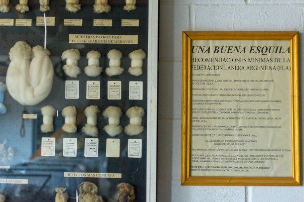 Gentileza: Emanuel Pistara<br>