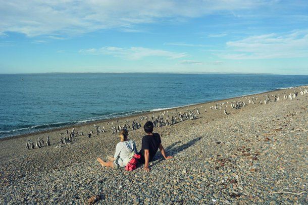 La Reserva El Pedral está ubicada en Punta Ninfas<br>