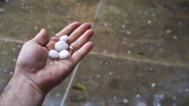 Granizo Granizo