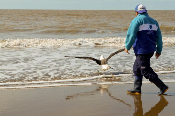 (Foto: Fundación Mundo Marino)