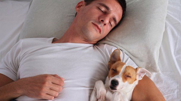 Colecho animal: ¿es saludable dormir con las mascotas?