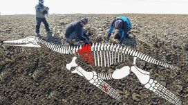 El esqueleto del animal habría medido unos seis metros de largo El esqueleto del animal habría medido unos seis metros de largo